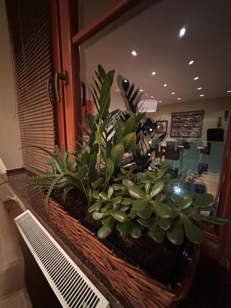 Apartament Josefina Поляница-Здруй Экстерьер фото